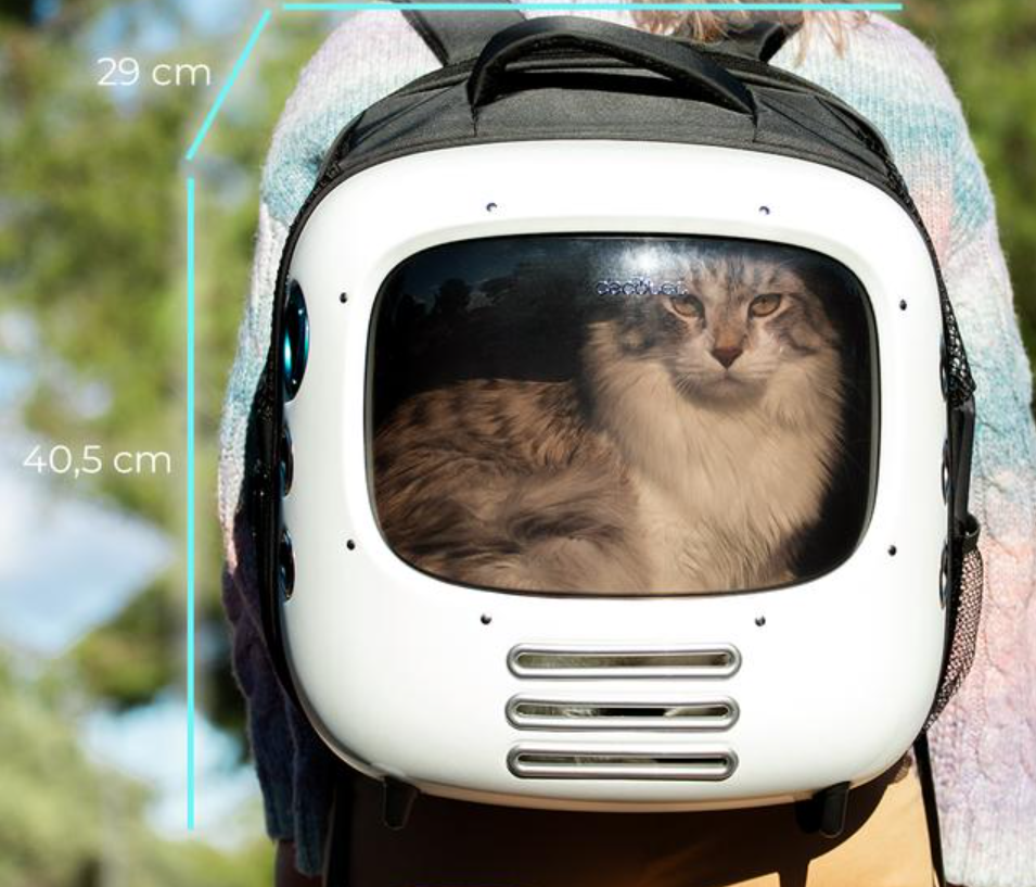 transportin gatos